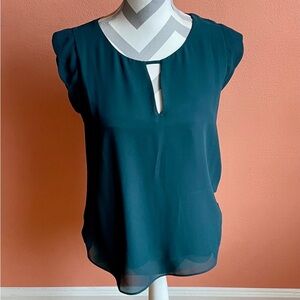 Naked Zebra Dark Teal Blouse
